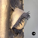 Italian modern square wall mirror foam rubber frame with eyes decorations, 1980s