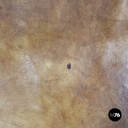 Italian mid-century modern brown leather swivel chairs with wheels, 1950s