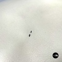 Italian Art Deco white leather and wood chair by Giovanni Gariboldi, 1940s