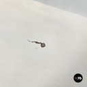 Italian post modern modular curved edges black and white wooden bookcase, 1980s