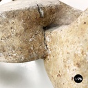 Italian modern concrete and glass coffee table Kamasutra by Claudio Trevi, 1970s