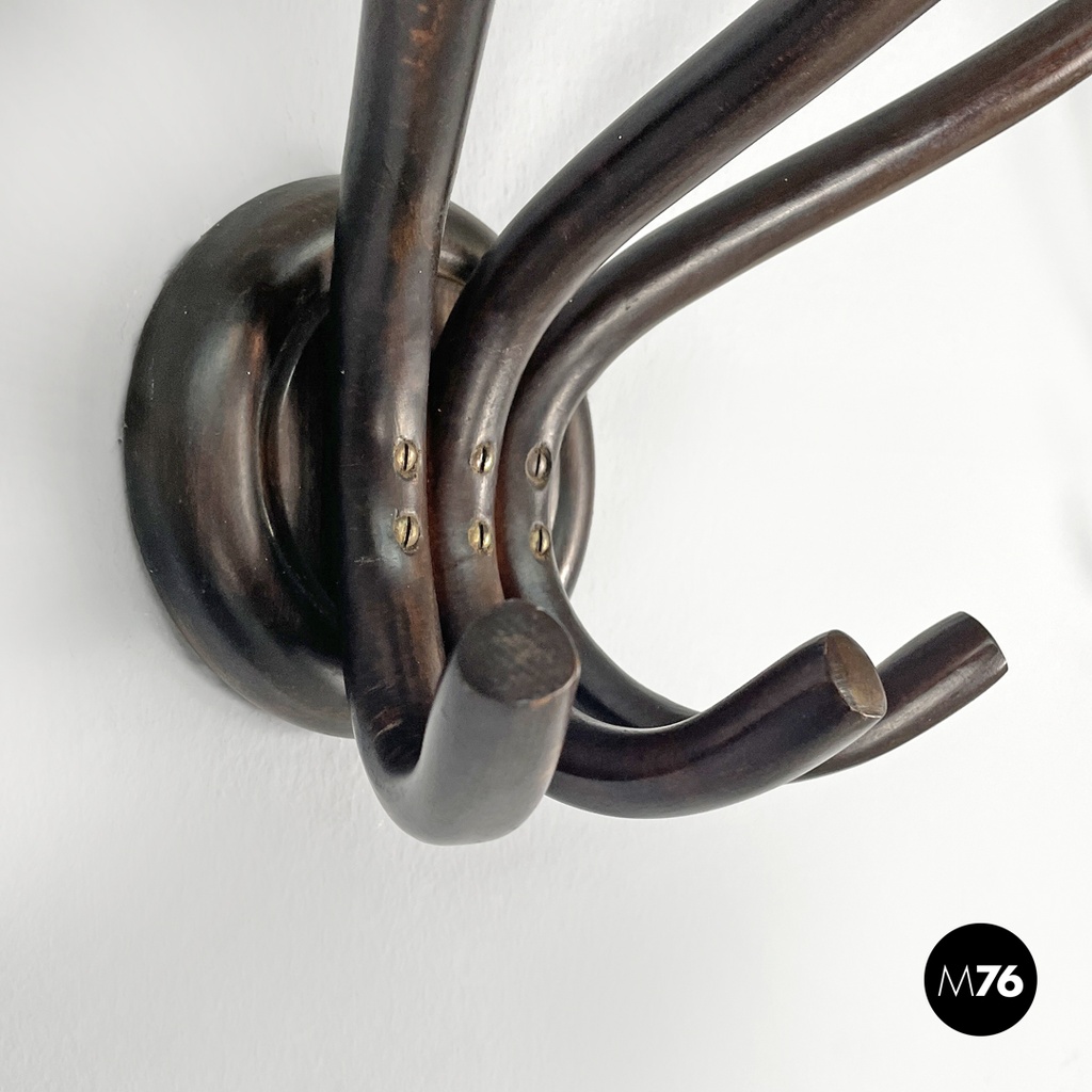 Italian mid-century modern curled wooden wall coat hangers by Italcomma, 1960s