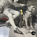 English antique etching print with black wood and golden metal frame, 1863