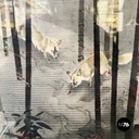 Japanese antique Silk tapestry with 5 foxes in bamboo forest, mid 1700s