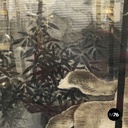 Japanese antique Silk tapestry with 5 foxes in bamboo forest, mid 1700s