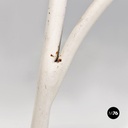 Italian mid century modern white iron garden chairs with blue pillows, 1960