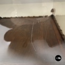 Italian modern golden wood and smoked glass coffee tables or pedestals, 1970s