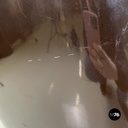 Poltrona in pelle nera di Cesare Casati per Arflex, 1960 ca.