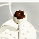 Sedie da giardino in ferro bianco, 1960 ca.