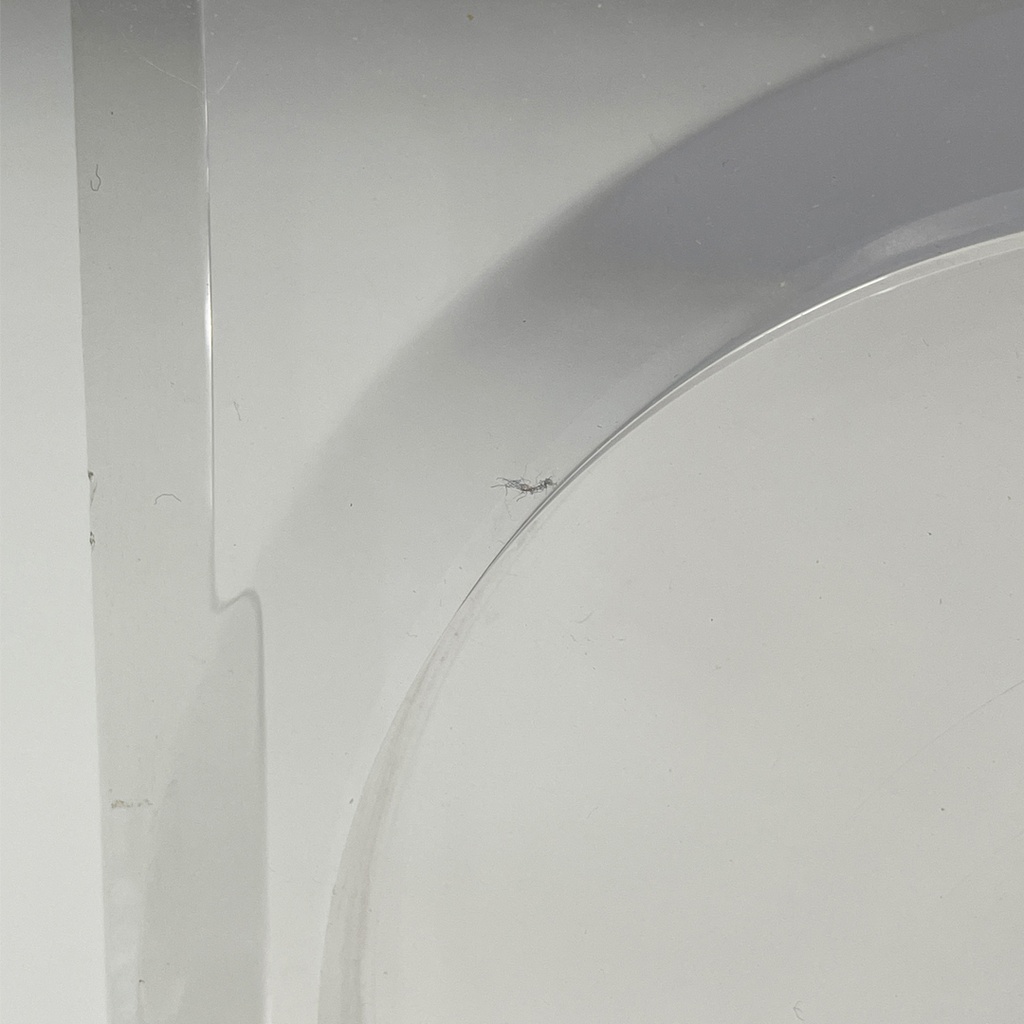 Cornice per Guzzini, 1970 ca.