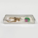 Portachiavi per Olivetti, 1970 ca.