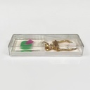 Portachiavi per Olivetti, 1970 ca.