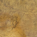 Scrivania in legno di noce per Hille of London, 1920 ca.