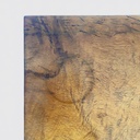 Scrivania in legno di noce per Hille of London, 1920 ca.