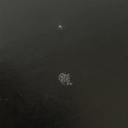 Comodini di Ico Parisi per Poggi, 1970 ca.