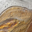 Specchio da parete di Gaetano Pesce per Fish Design, 2005