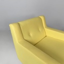 Poltrone  PL34 di Franco Albini e Franca Helg per Poggi, 1966