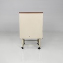 Cassettiera in metallo con ruote, 1950 ca.