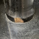 Piedistalli in legno nero, 1930 ca.