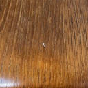 Sedie per Haga Fors, 1950 ca.