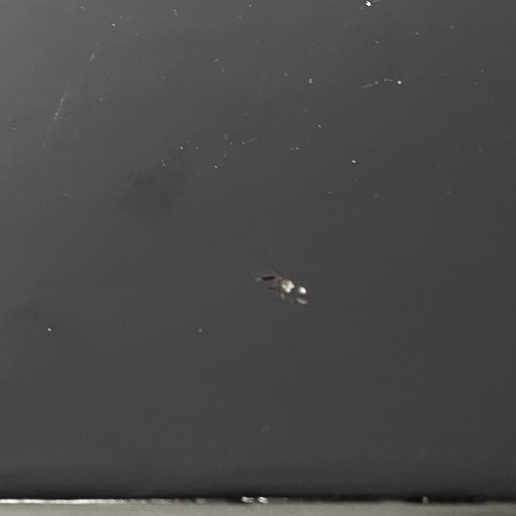 Sideboard in legno nero, 1930 ca.