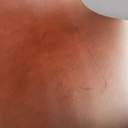 Sedie T di Katavolos, Kelley e Littell per ICF De Padova, 1960 ca.