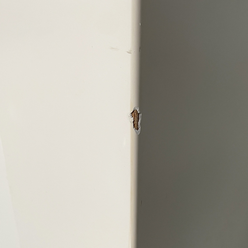 Divano Saratoga di Massimo e Lella Vignelli per Poltronova, 1980 ca.