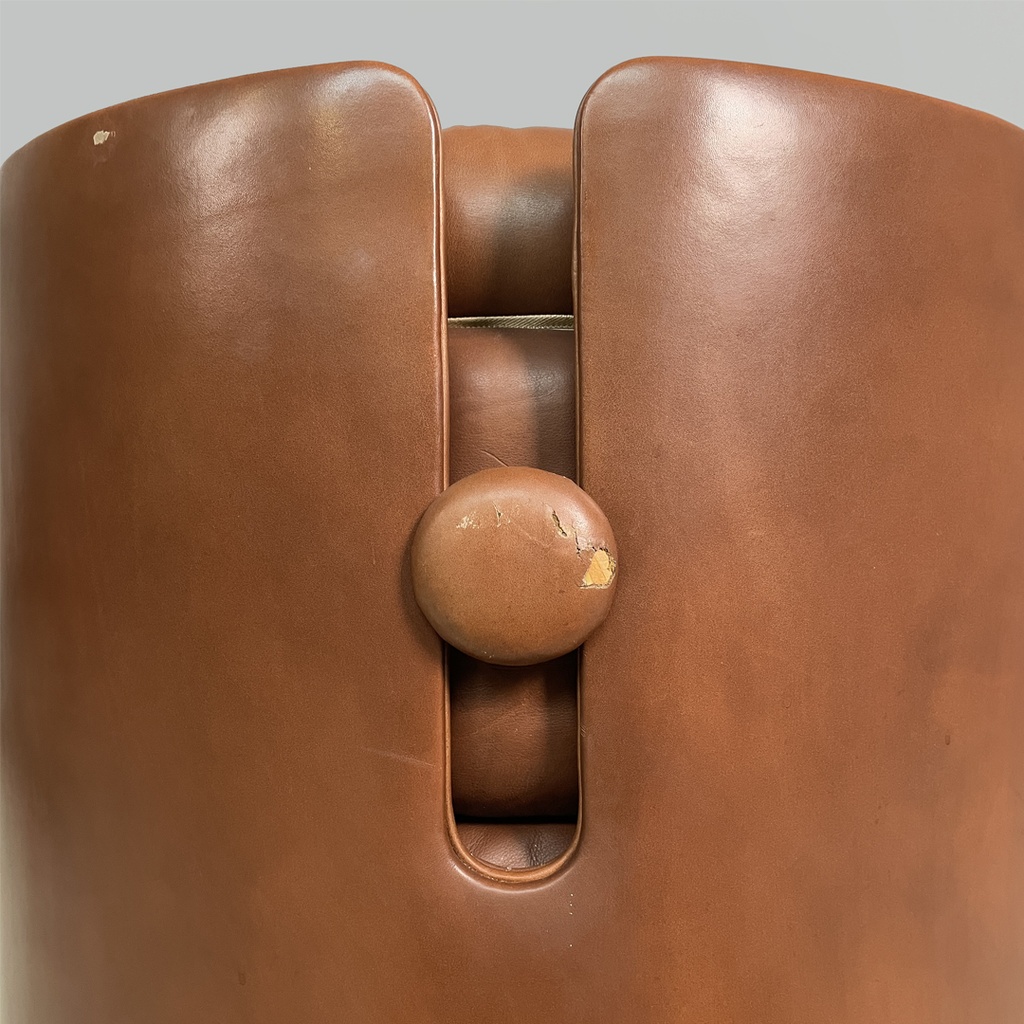 Poltrona di Luigi Massoni per Poltrona Frau, 1960 ca. 