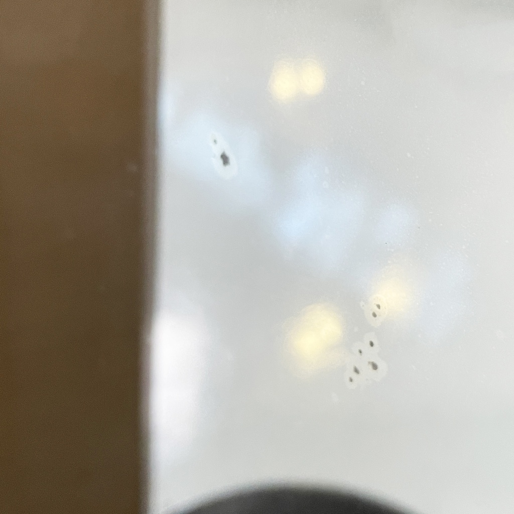 Specchio da terra in legno chiaro e nero, 1930 ca.