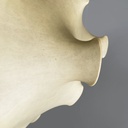 Lampadario Taraxacum di Achille e Pier Giacomo Castiglioni per Flos, 1960 ca.