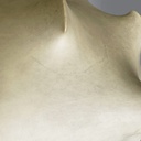 Lampadario Taraxacum di Achille e Pier Giacomo Castiglioni per Flos, 1960 ca.