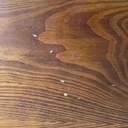 Panca in legno con fioriera, 1970 ca. 