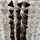Lampadario di Paolo Venini, 1950 ca.