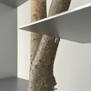 Libreria Piccolo Albero di Andrea Branzi per Design Gallery Milano, 1991