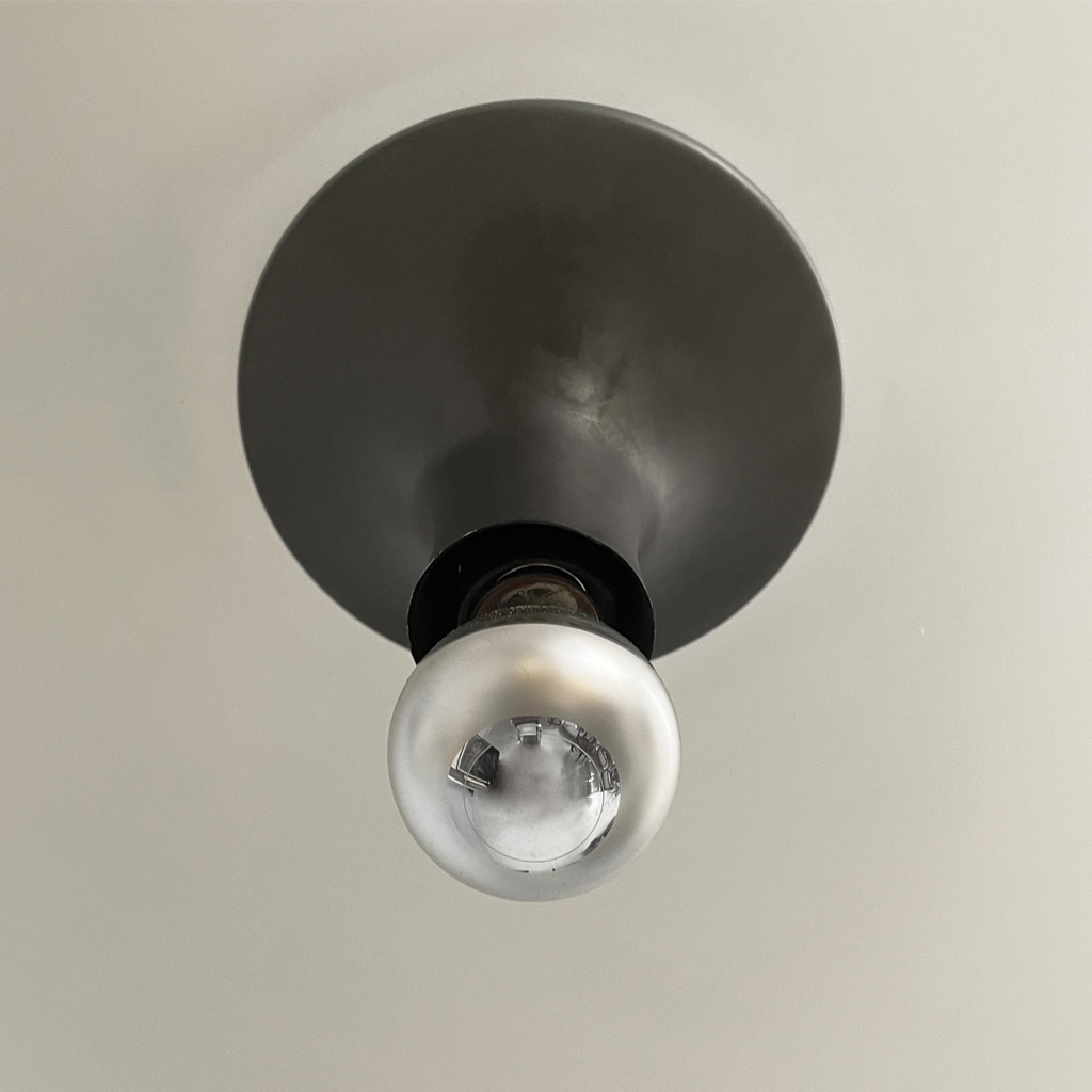 Lampadari LS10 di Luigi Caccia Dominioni per Azucena, 1960 ca.