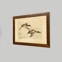 Quadro a stampa litografica con anatre, 