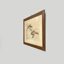 Quadro a stampa litografica con anatre, 
