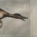 Quadro a stampa litografica con anatre, 