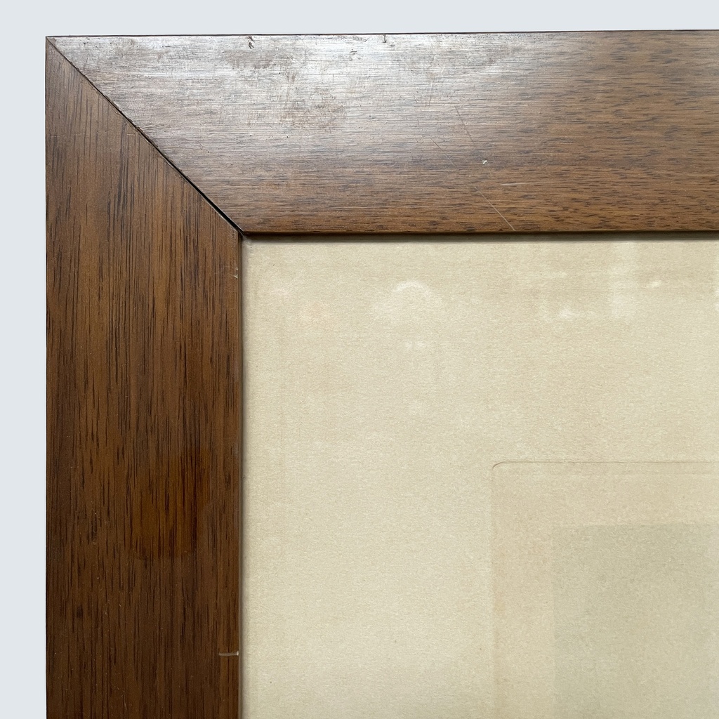 Quadro a stampa litografica con anatre, 