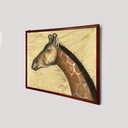 quadro 