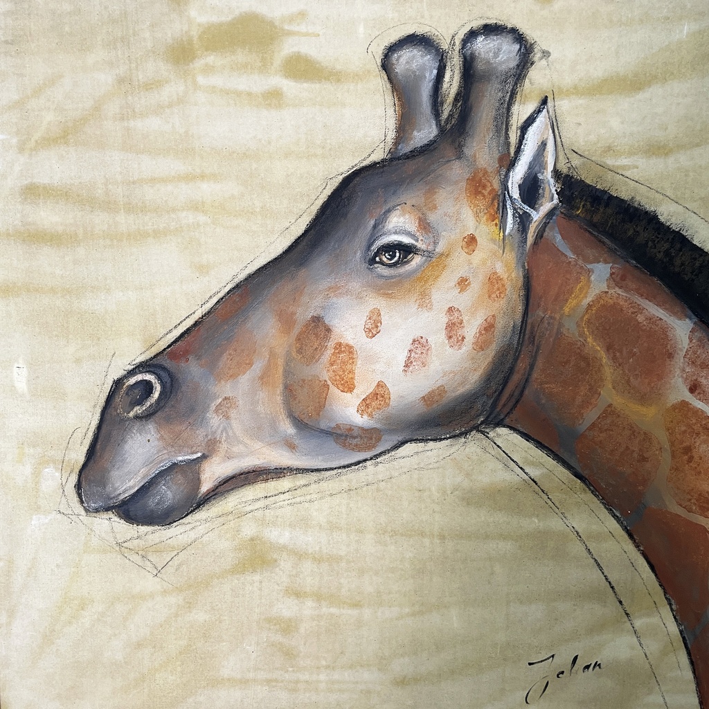 quadro 