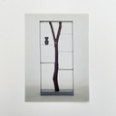Libreria Piccolo Albero di Andrea Branzi per Design Gallery Milano, 1991