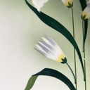 Vassoio con fiori in ceramica e metallo, 1930 ca.