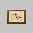 Quadro di anatre su carta, 1960 ca.