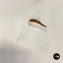 Divano Superonda di Archizoom Associati per Poltronova, 1960 ca.