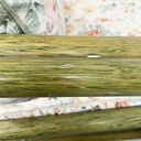 Divano di Lyda Levi per McGuire Company,  1970 ca.