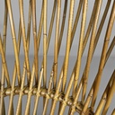 Poltrona Margherita di Franco Albini per Bonacina, 1960 ca.