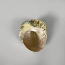 Conchiglie decorative, 1900-1990 ca.