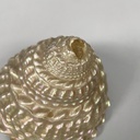 Conchiglie decorative, 1900-1990 ca.