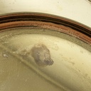 Piatti, centrotavola o vassoi in ottone, 1970 ca.